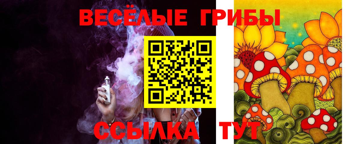закладка  Вход с VPN  Красногорск  Псилоцибиновые грибы Psilocybe 